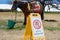 Sign reading Ã¢Â€ÂœDonÃ¢Â€Â™t touch the ponyÃ¢Â€Â written in Japanese, in front of a brown pony outdoors